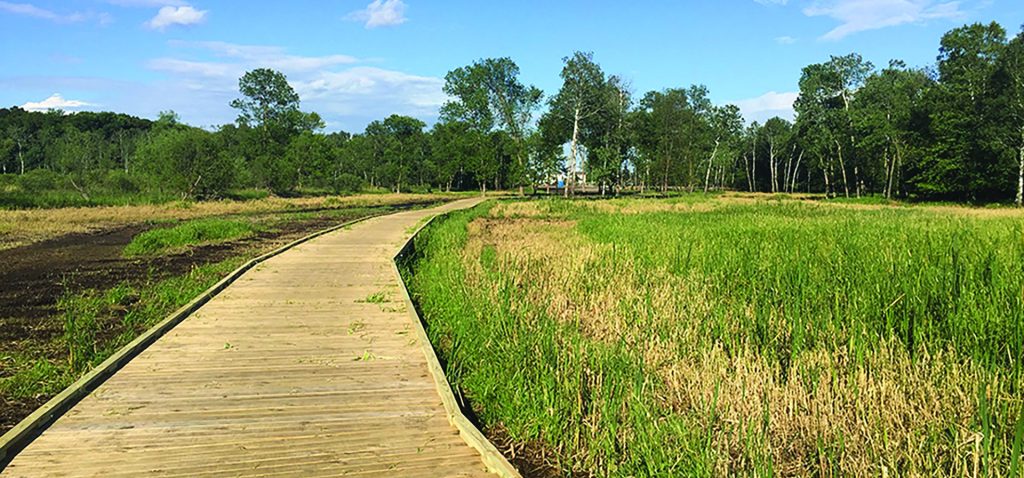 Blaine Wetland Sanctuary